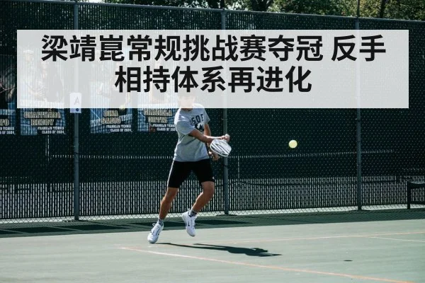 梁靖崑常规挑战赛夺冠 反手相持体系再进化